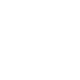 Air Force